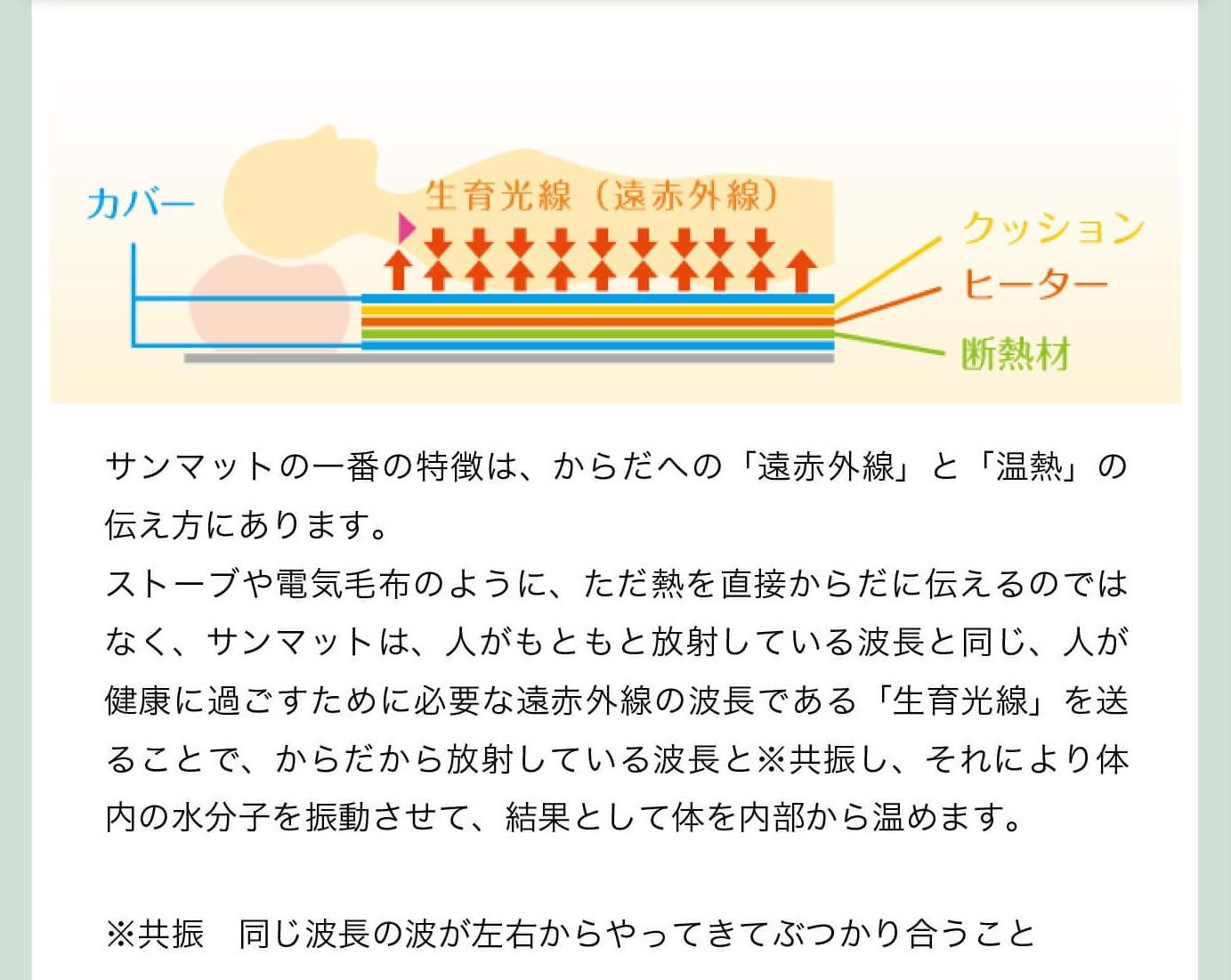 マラソン限定クーポンあり！遠赤外線 治療器 マット【サンマット Ｍ型