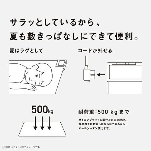 メーカー保証付き 未開封 沖縄県及び離島地域等配送不可 DC-2V5-MC パナソニック Panasonic かんたん床暖 電気カーペット フローリングタイプ 2畳相当 木目 ライトベージュ色 WWW_KANDAIZUMI_COM