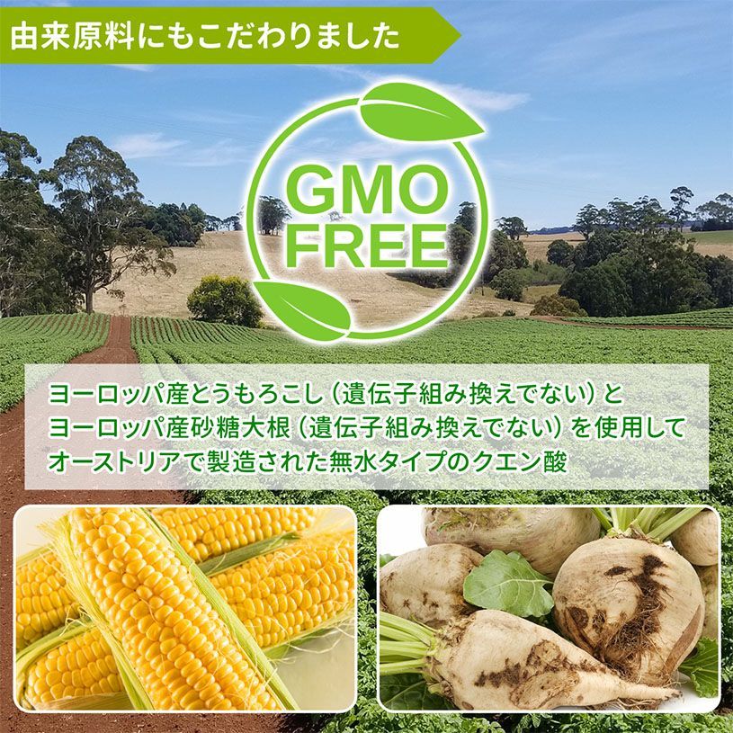 【NICHIGA／ニチガ公式】無水クエン酸 オーストリア産 900g 食品添加物 食品用 Non-GMO (Citric acid) [01]