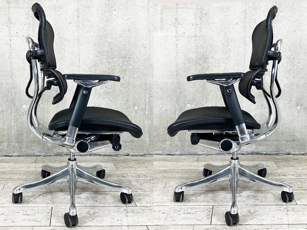 Ergohuman/ エルゴヒューマン□PRO / プロ□エルゴノミクスチェア□黒