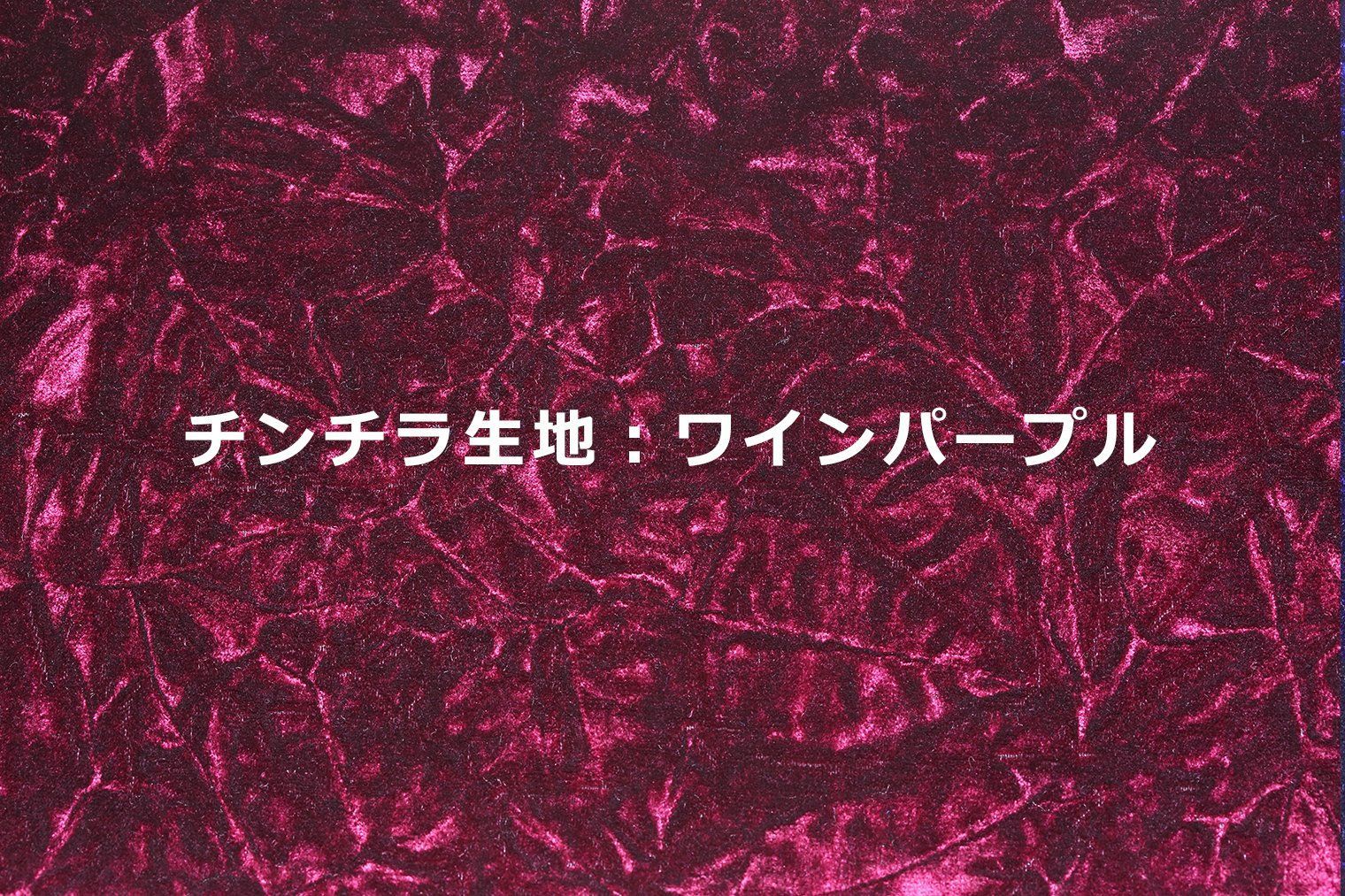 チンチラ サイズ