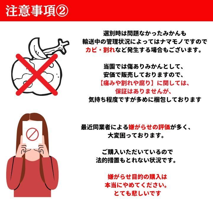 和歌山県産