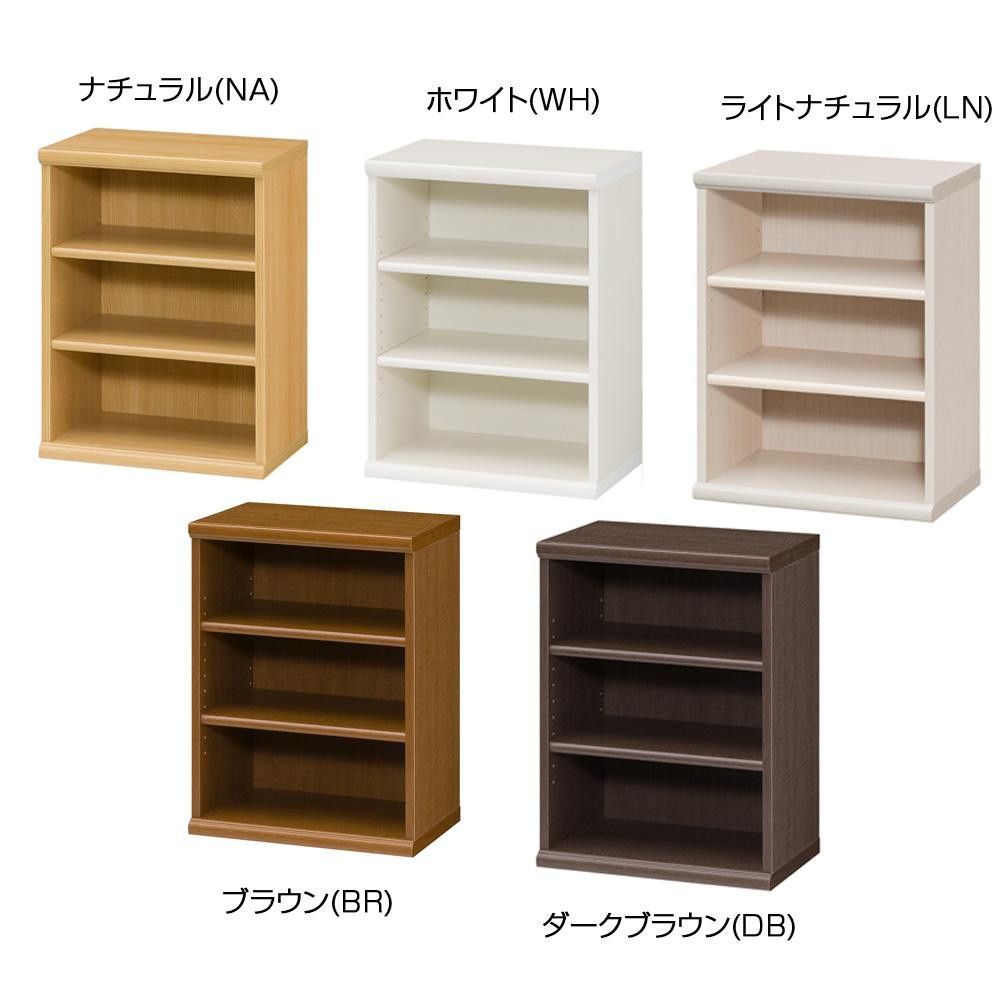 安藤岬　グワッシュ板絵アクリル画　『芙蓉』 安藤岬 グワッシュ板絵アクリル画 『芙蓉』