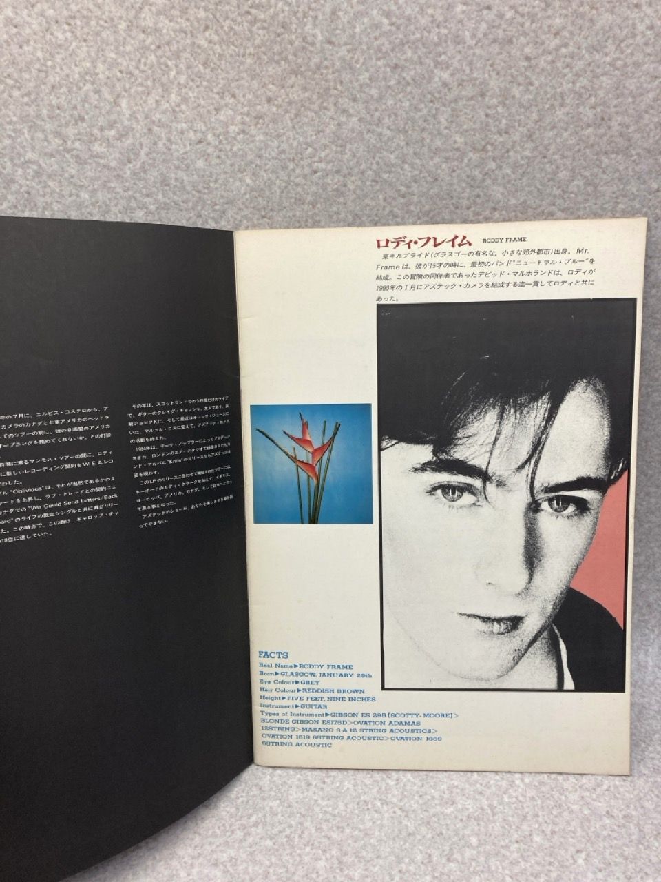 【入手困難】アズテック・カメラ　1985ツアーパンフ アズテック・カメラ 来日パンフレット 1985 AZTEC CAMERA JAPAN