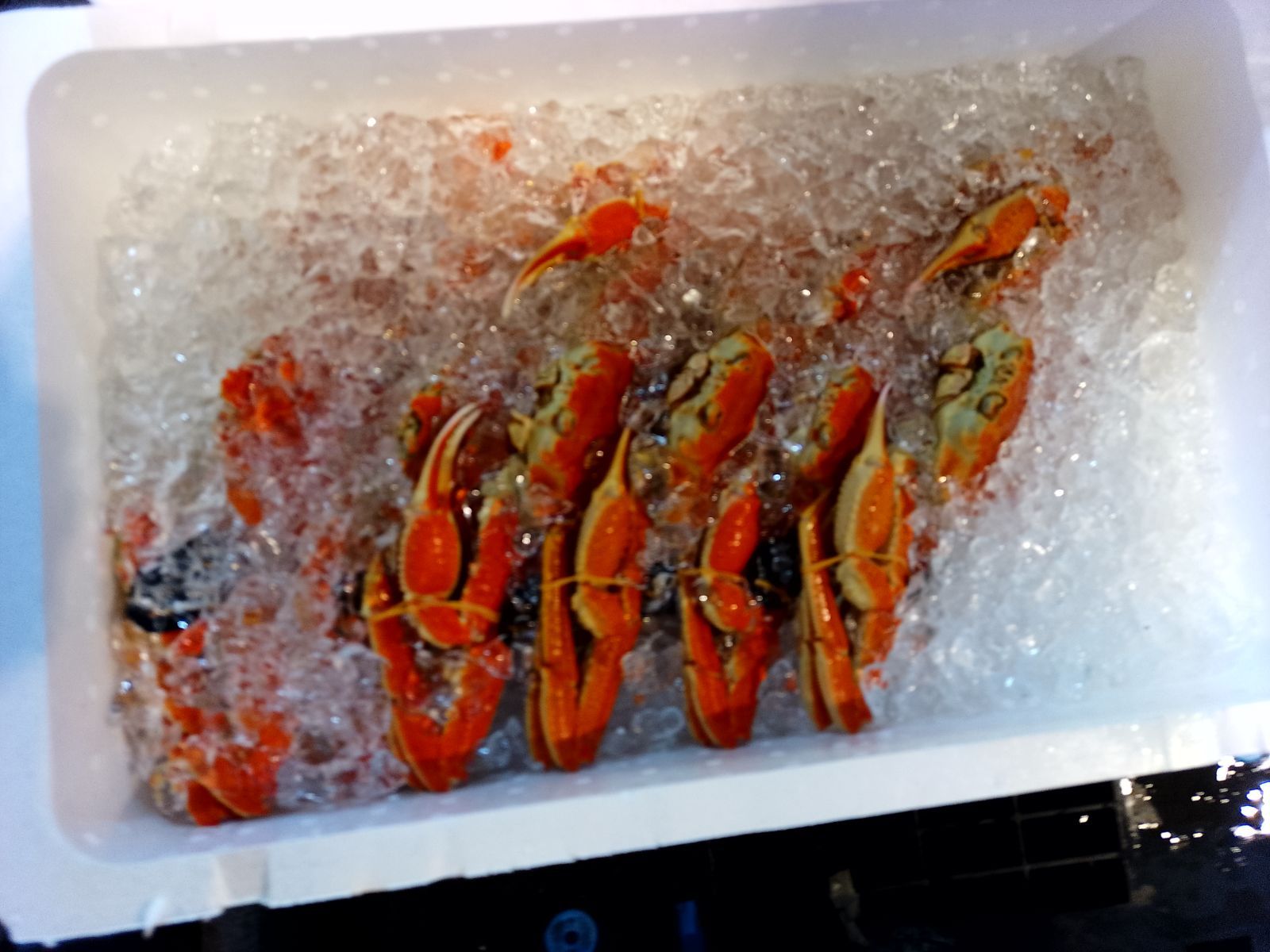 歓迎 ずわい蟹姿大ずわい蟹 冷凍では無い チルド