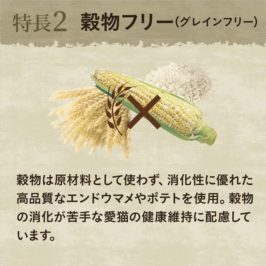 アダルト