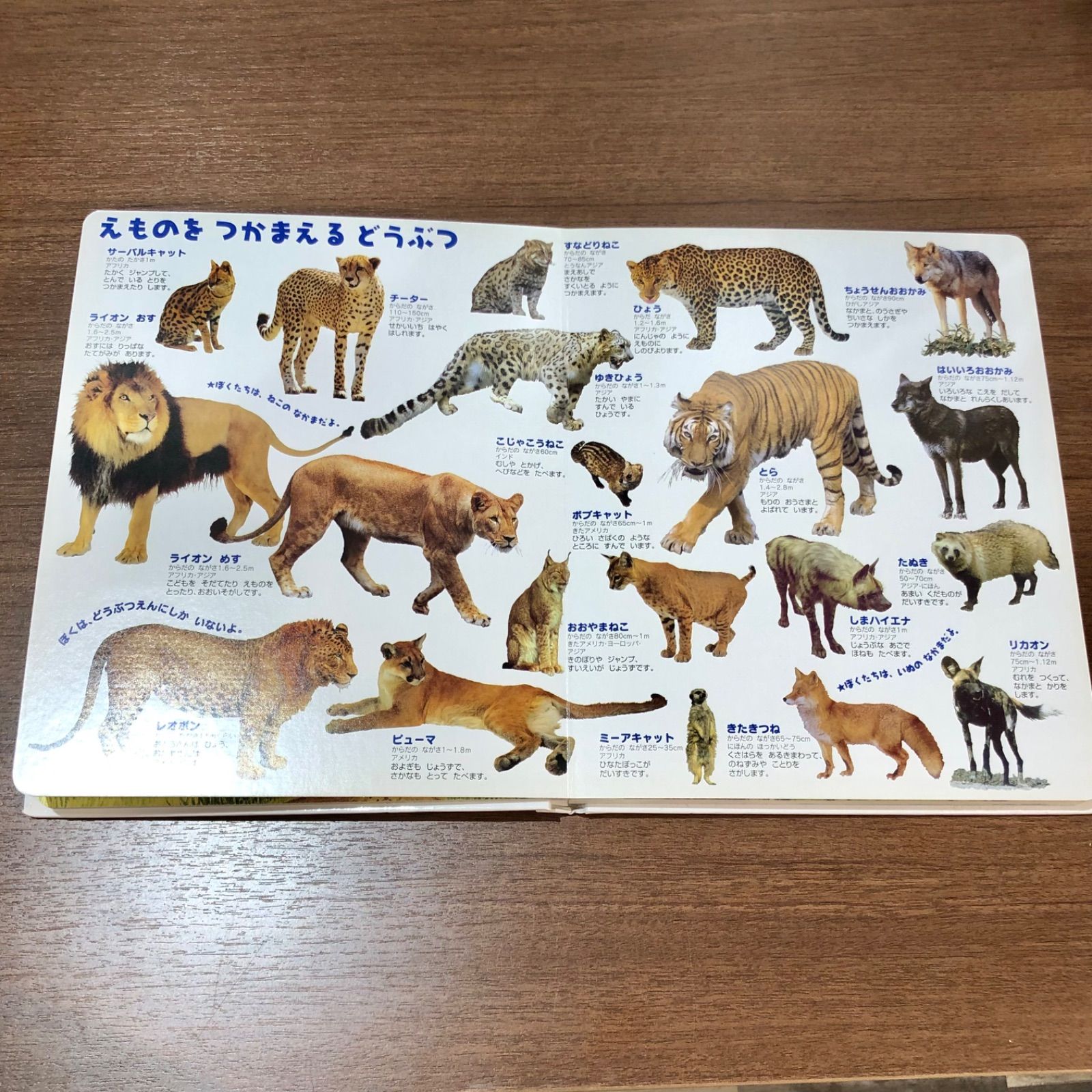 はっけんずかんどうぶつ Gakken（はっけんずかん 学研 6冊 むし