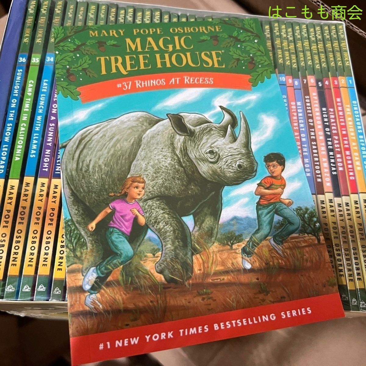 magic tree house #1-28マジックツリーハウスセット Magic Tree House