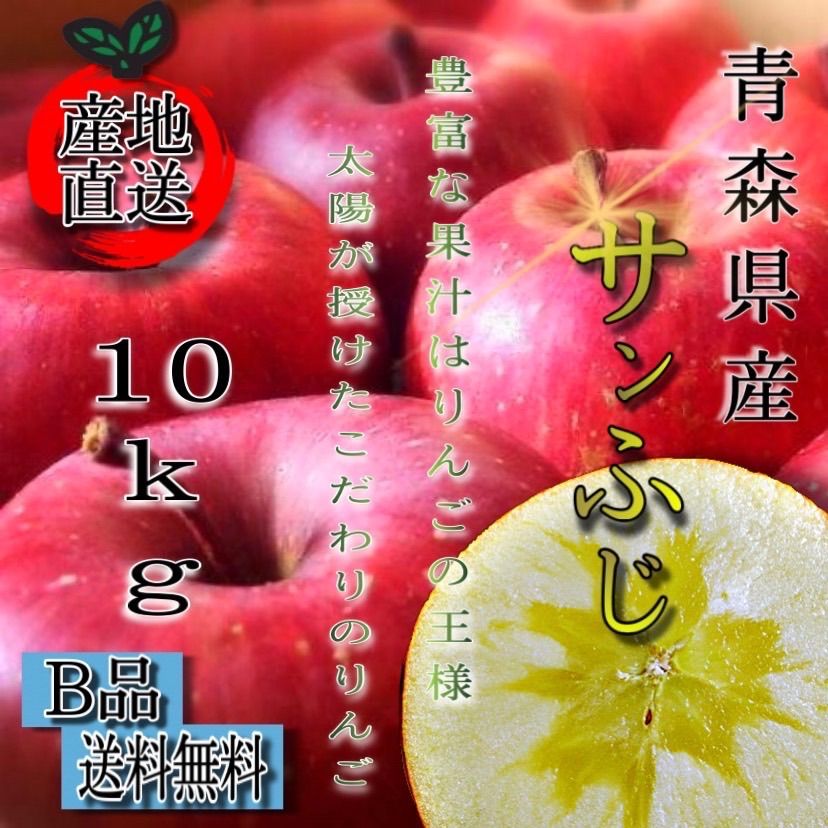 青森県産 サンふじ りんご【B品10kg】【送料無料】【農家直送】リンゴ ふじ-0