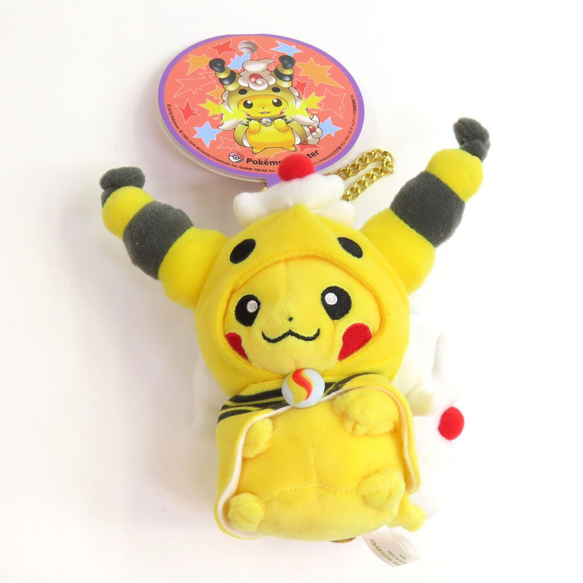 ぬいぐるみ メガデンリュウのポンチョを着たピカチュウ ポケモン