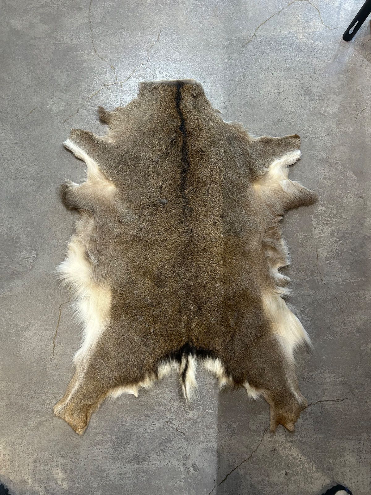 カウラグ 天然 本革 牛 カウスキン ラグ マット レザー インテリア