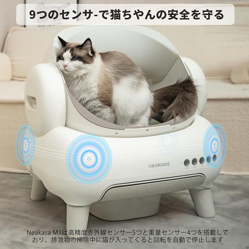 屋根なしオープン