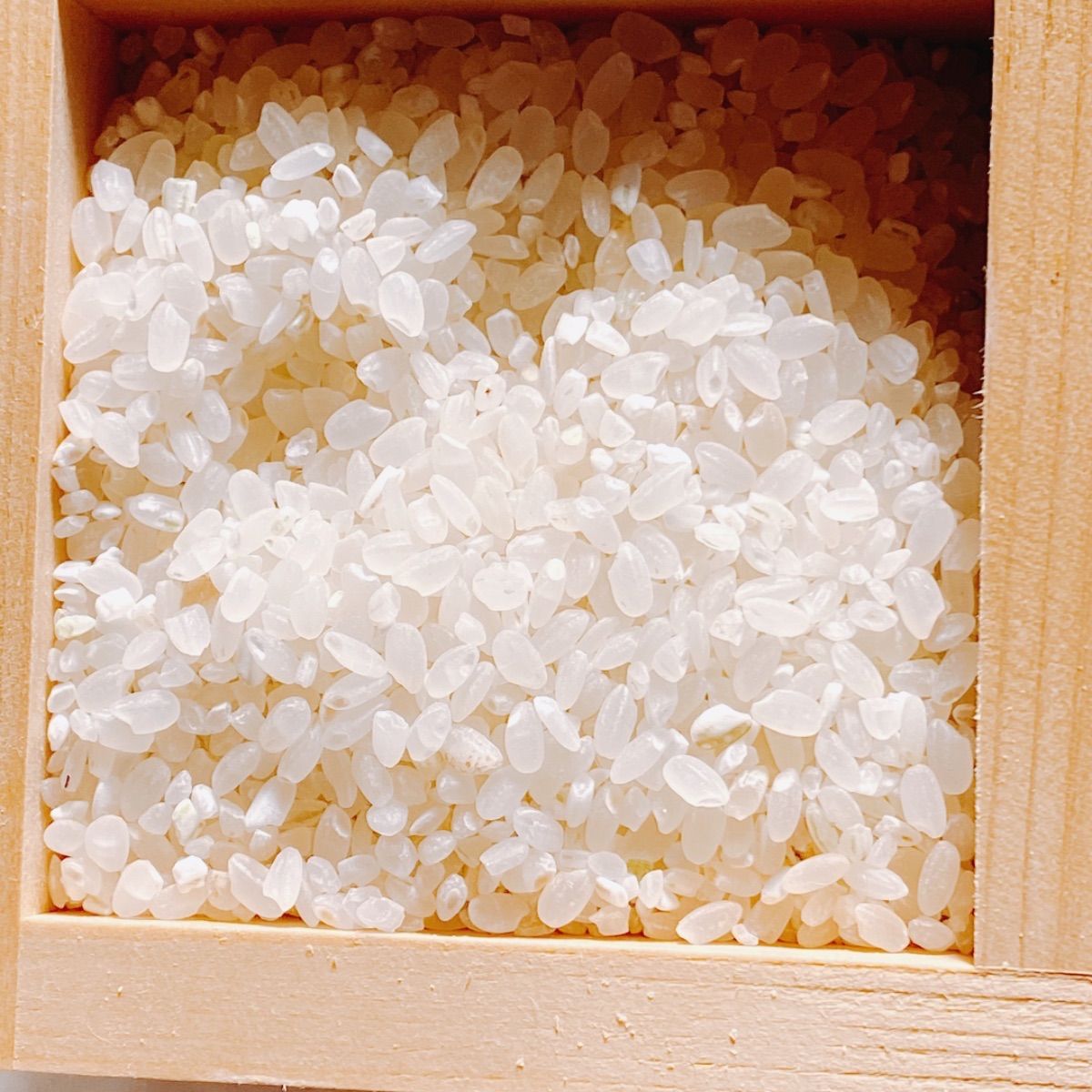 【品質SALE保証】農薬不使用　令和4年度産のうるち米　あきたこまち（玄米）20K 米・雑穀・粉類