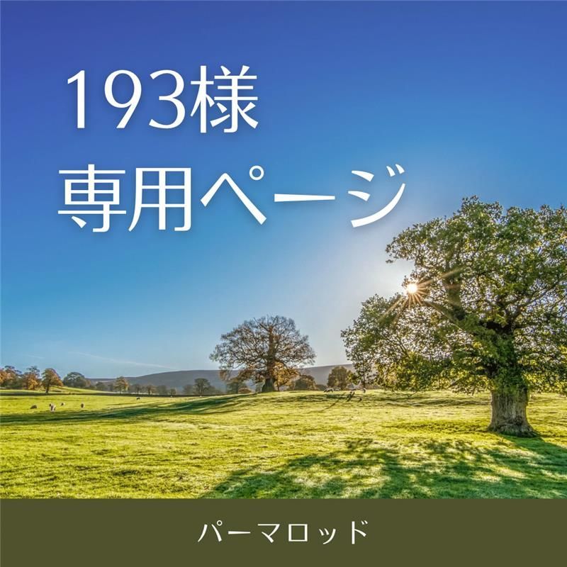 193様 ページ パーマロッド15 18 21 24ミリ各10本