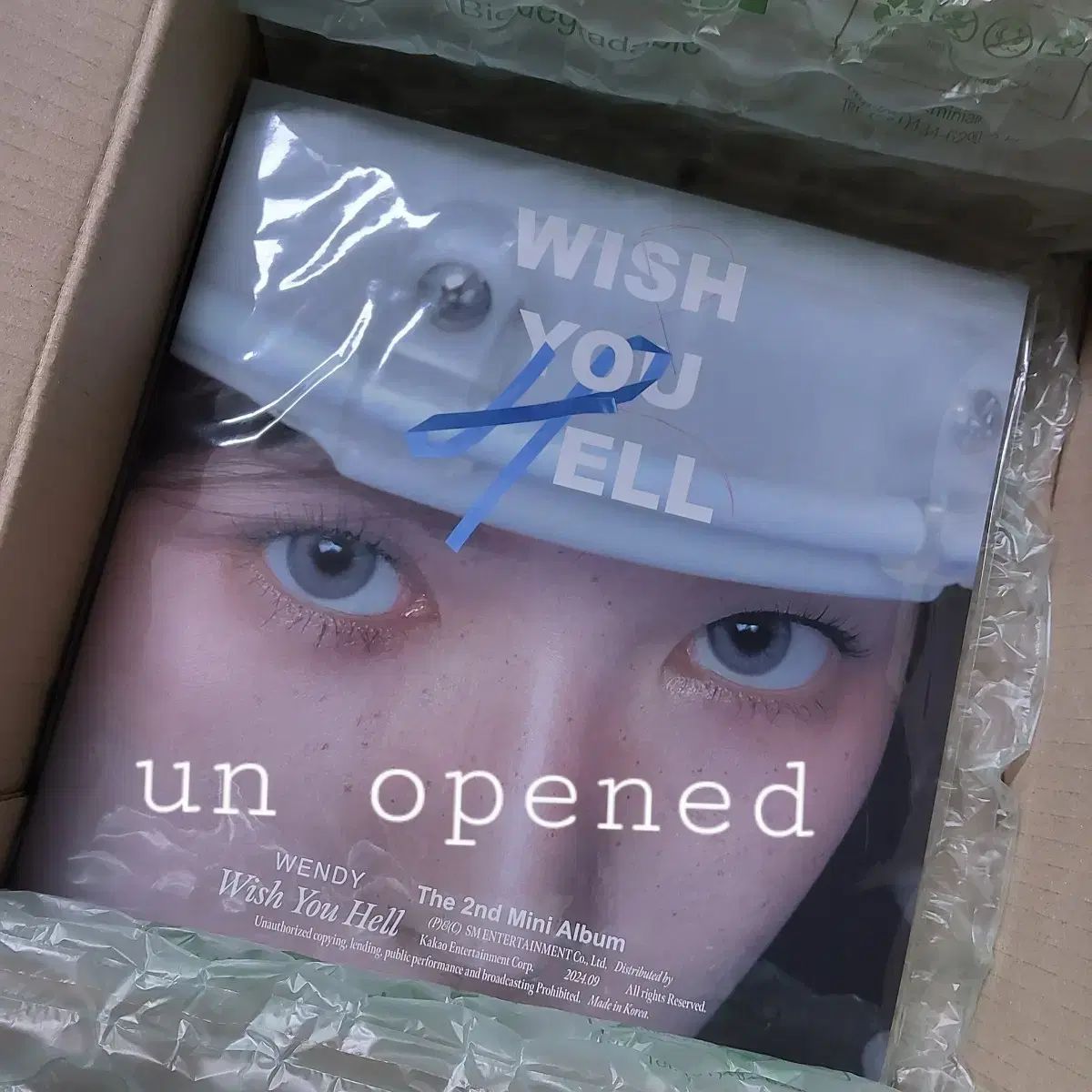 ウンミポ 16 0 レッドベルベットウェンディ wish you hell Lp