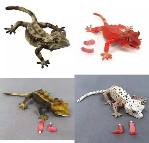 中古】トレーディングフィギュア 全4種セット 「いきもの大図鑑