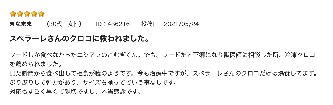 冷凍クロコオロギ L size 100g (約110匹)