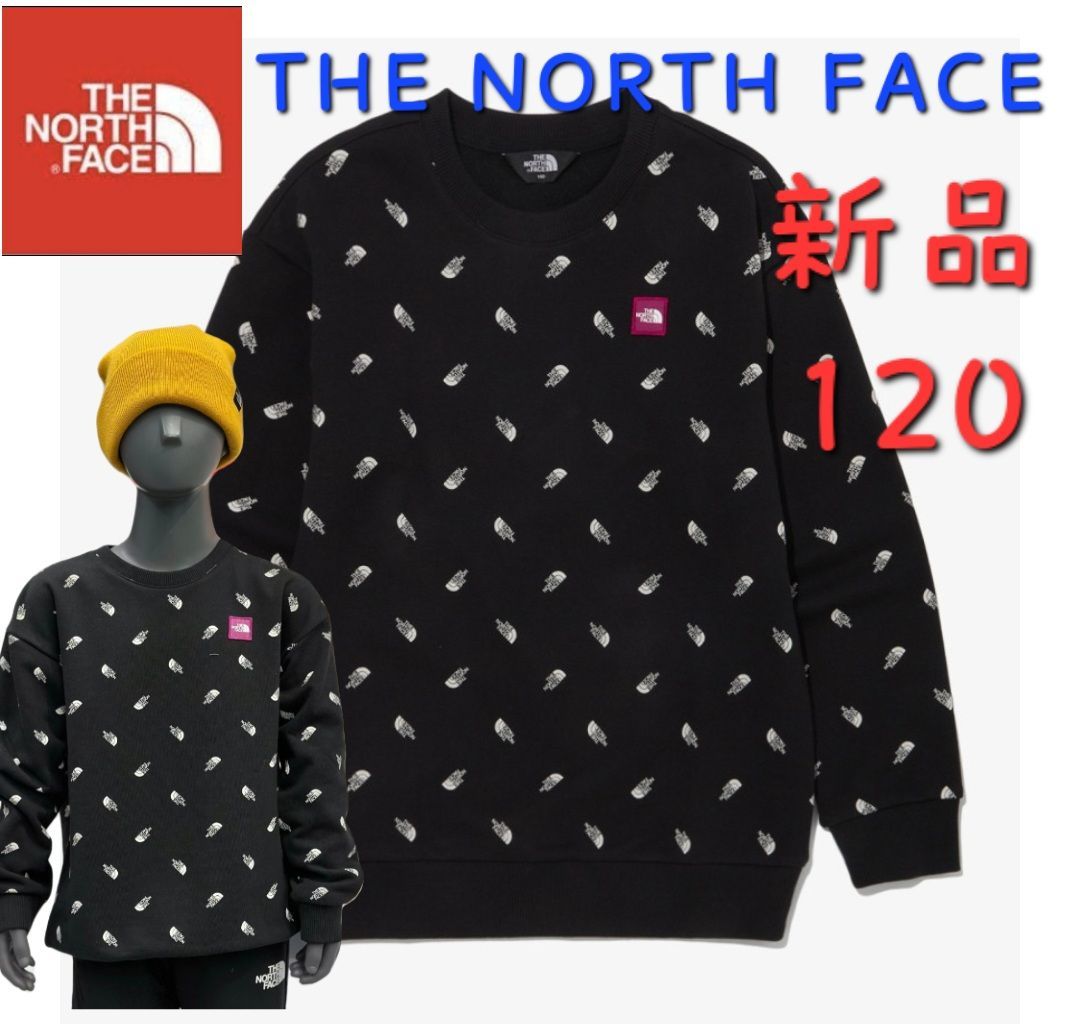 THE NORTH FACE ノースフェイス 新品 日本未発売 キッズ こども 人気