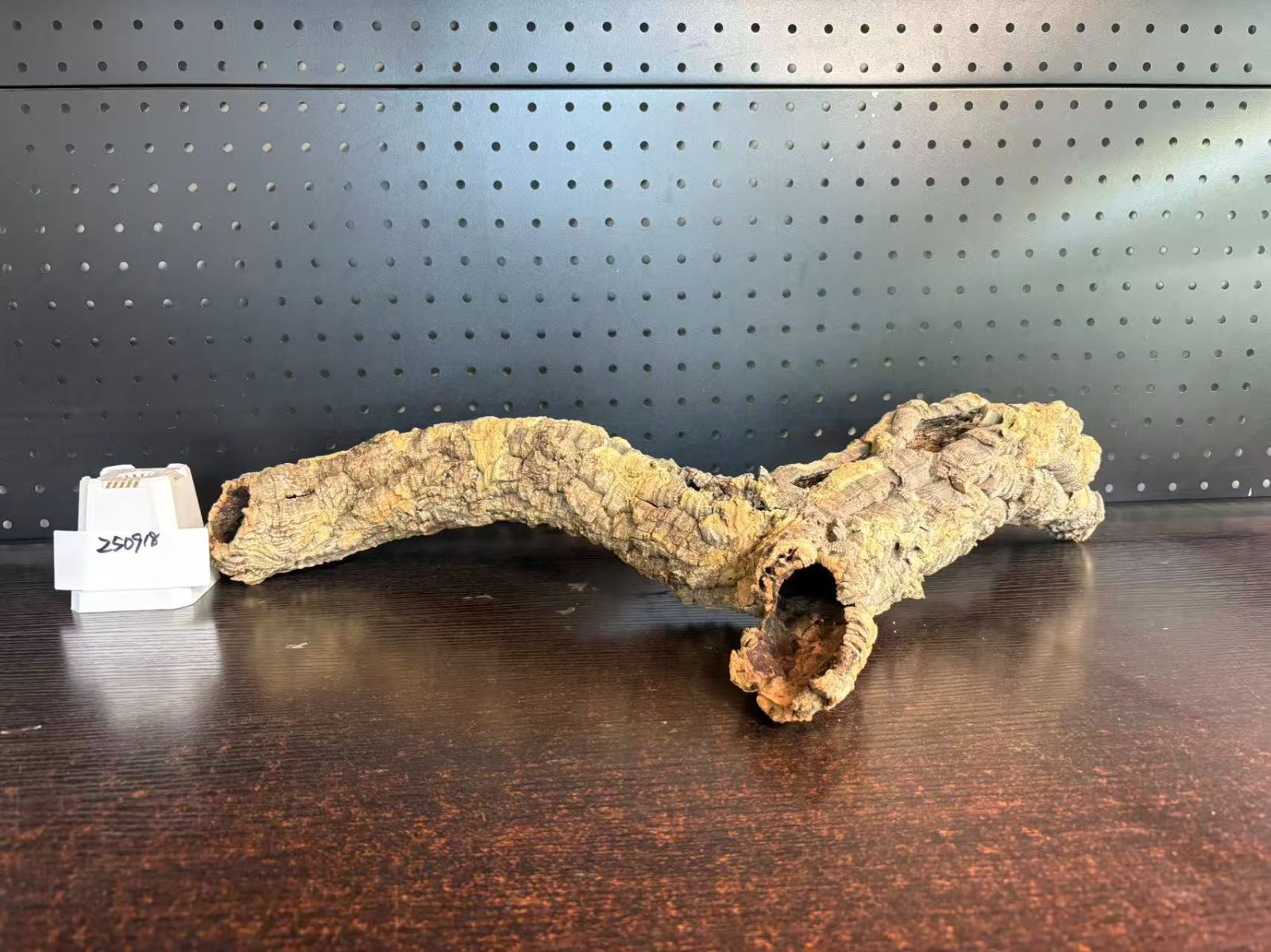 コルク樹皮 コルク板