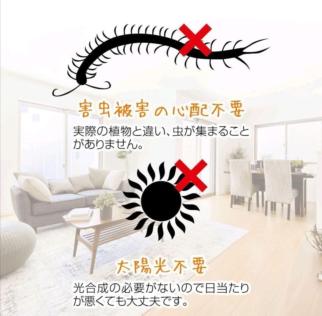 フェイクグリーン