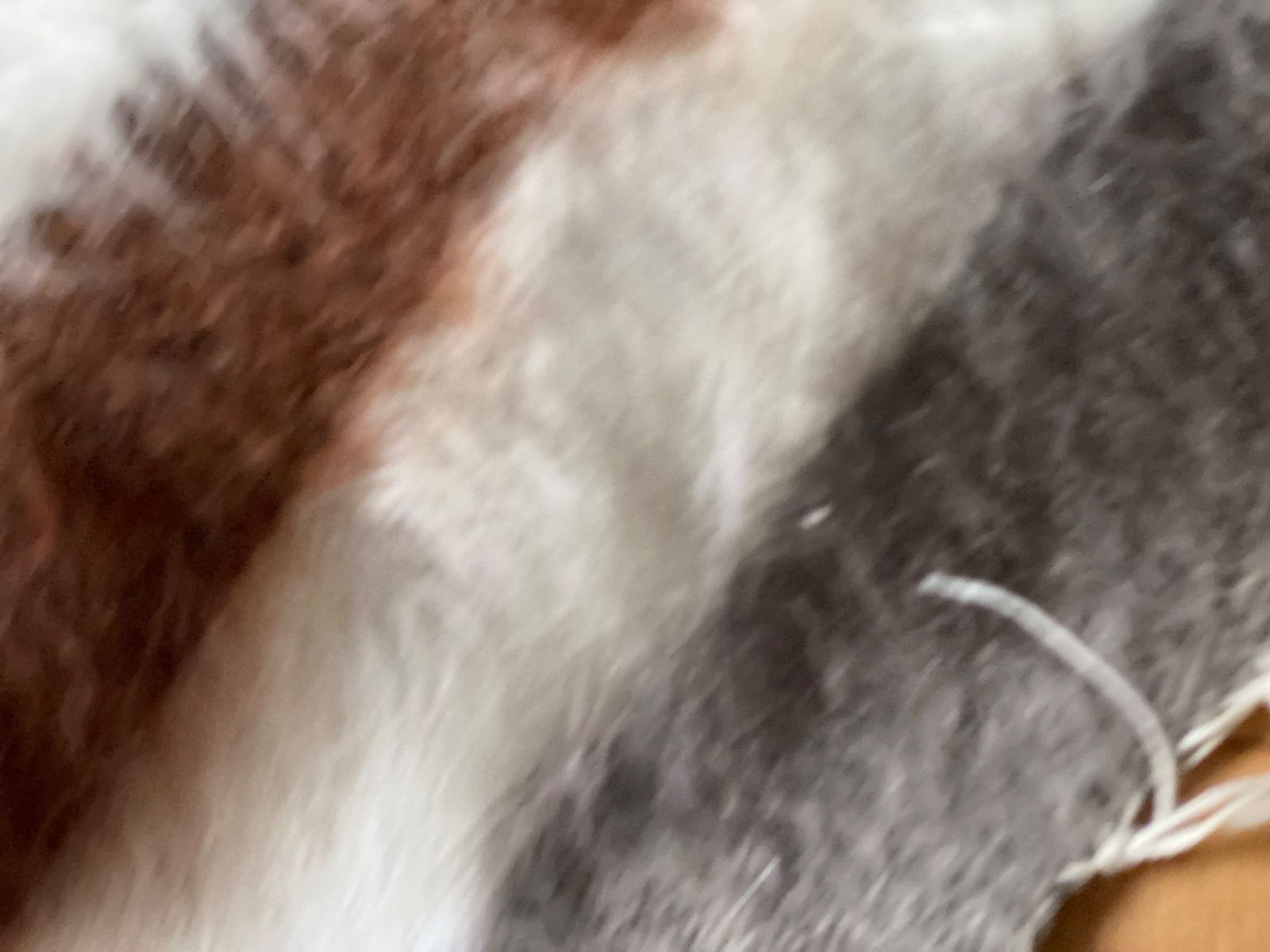 当店のみのお試し膝掛けサイズ 暖かでふわふわ四季を通じて便利