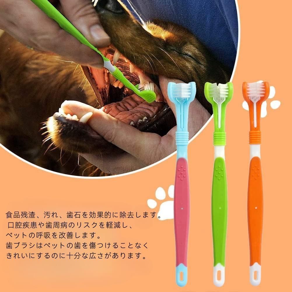 櫛 喜多つげ製作所 薩摩つげブラシ 5列