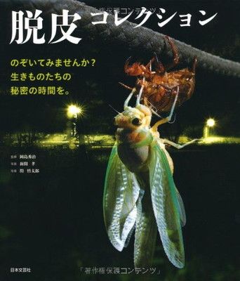 脱皮コレクション 岡島 秀治; 新開 孝 and 関 慎太郎