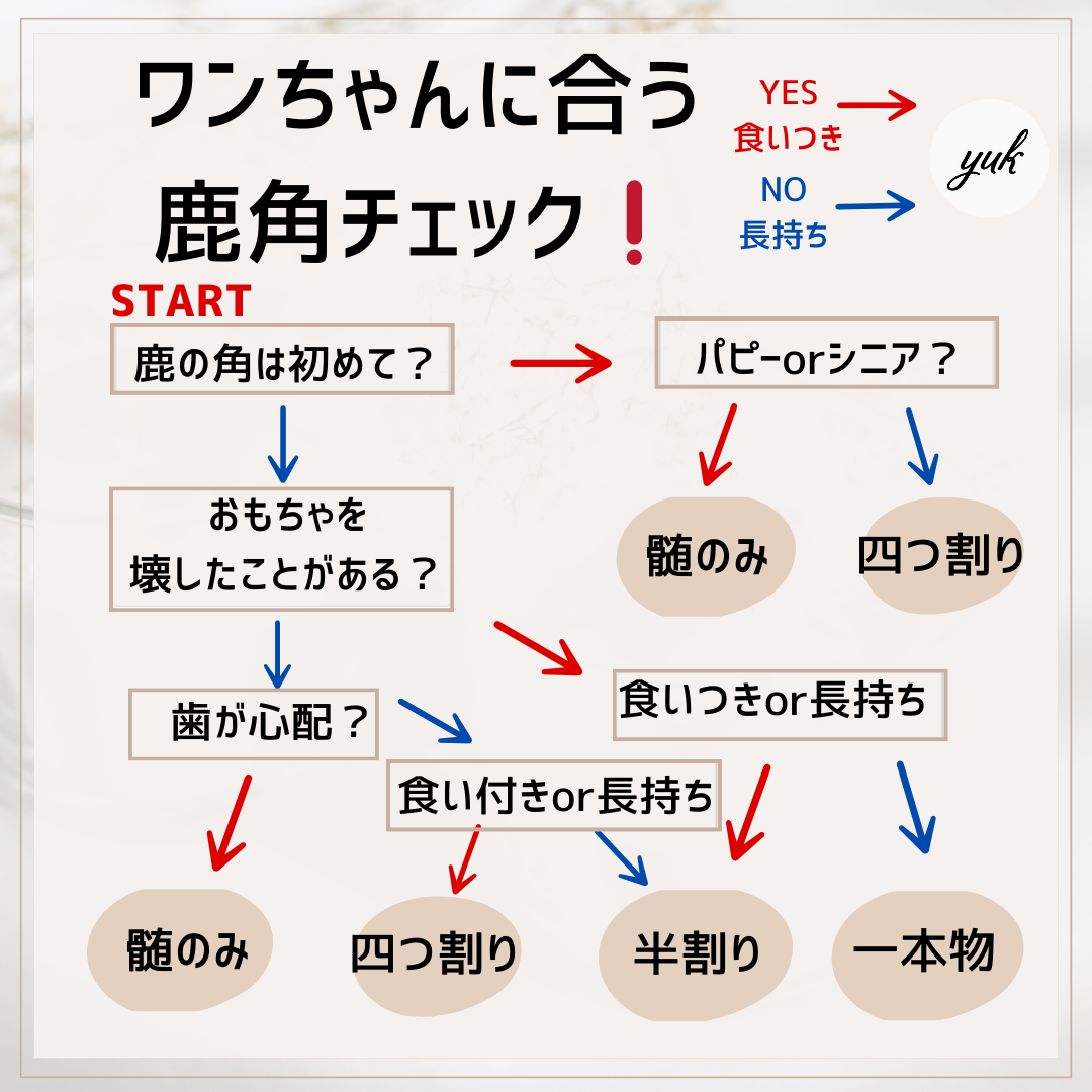 【数量限定】訳アリ　鹿角　北海道産エゾ鹿の角　犬のおもちゃ　鹿の骨　a