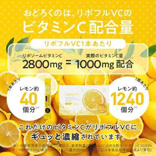 粉末 ビタミンCサプリメント