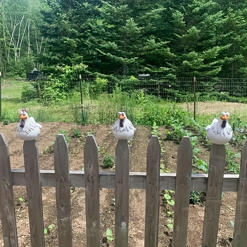 溝あり 3羽のニワトリ