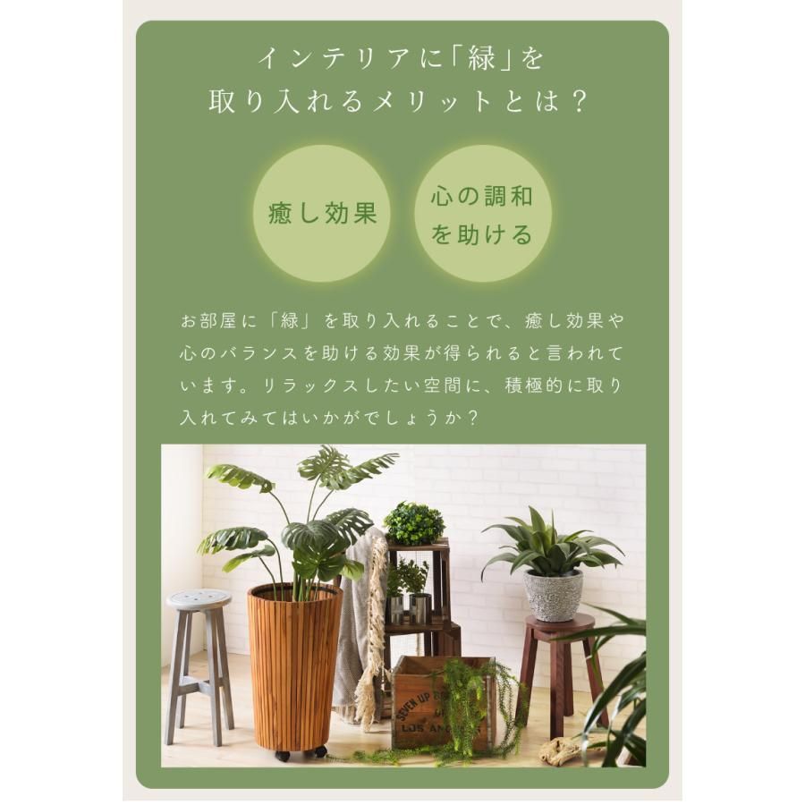 フェイクグリーン
