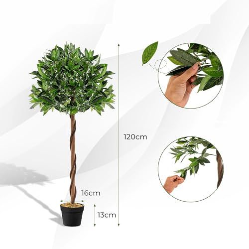 盆栽植物