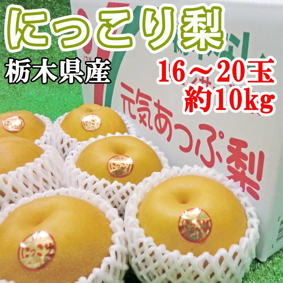 梨 にっこり 栃木県産 たっぷり16〜20玉 10kg 梨 品種 品ではございません