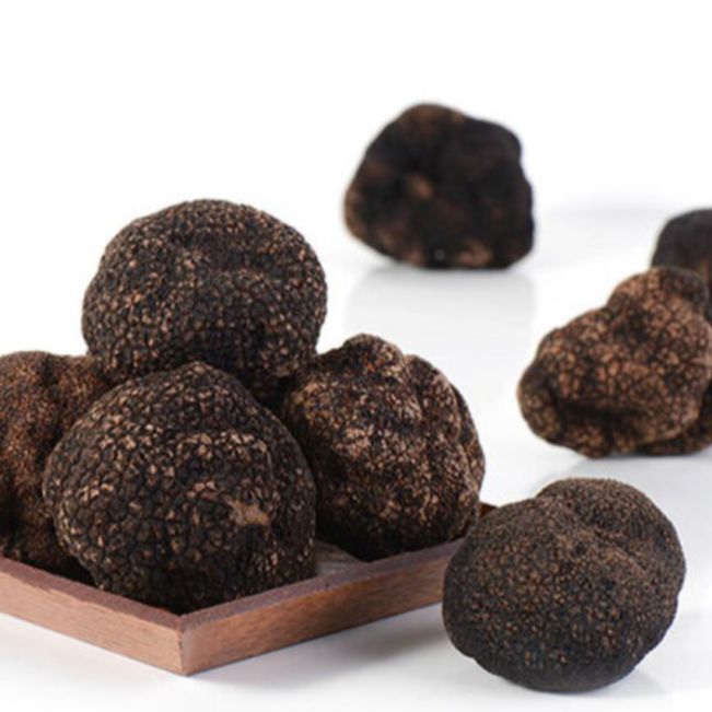 【100g】フレッシュ黒トリュフ種 5-6個【旬の冬限定】平日18時までの注文で翌日発送 - メルカリ