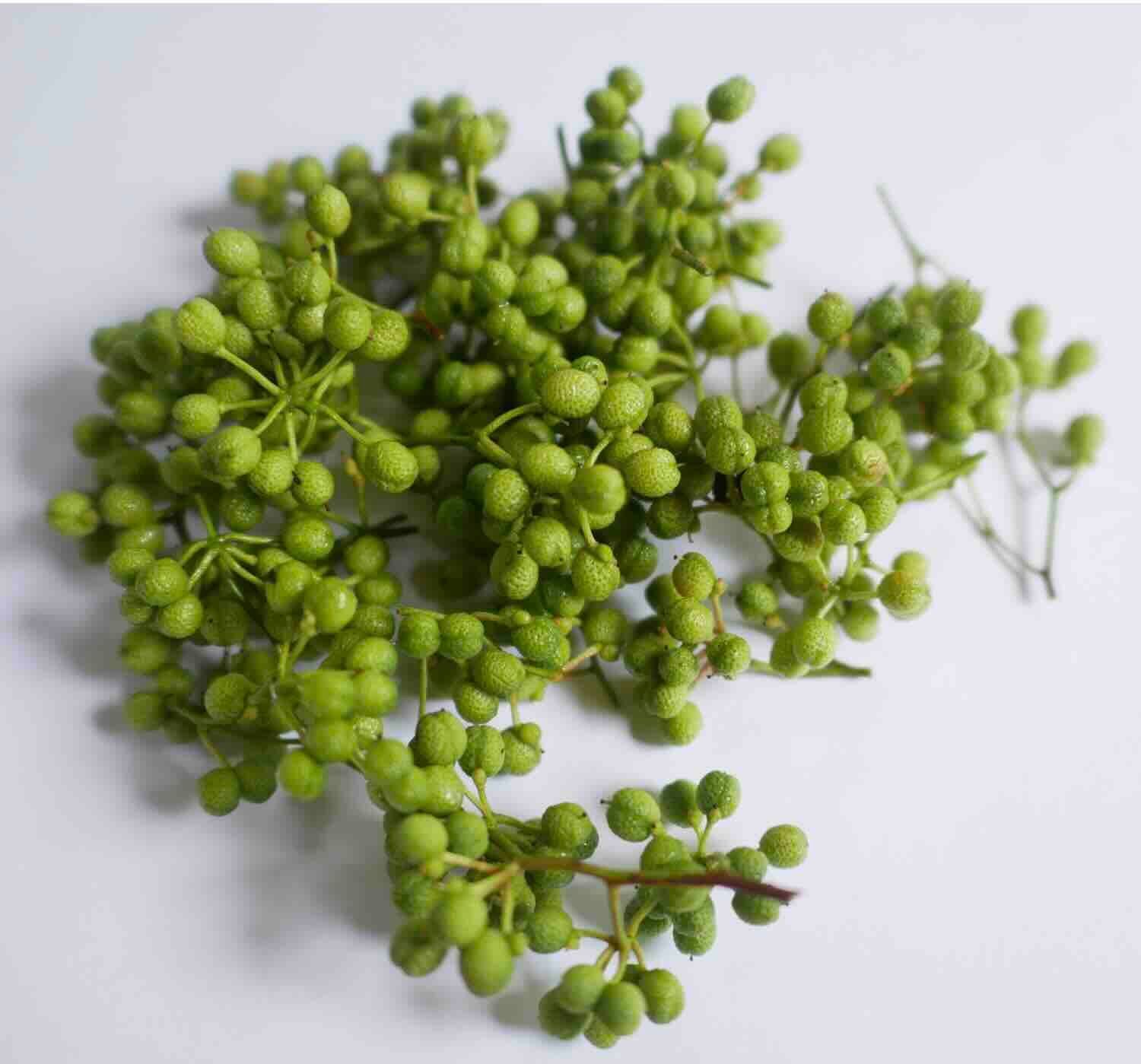 ５００ｇ 青山椒