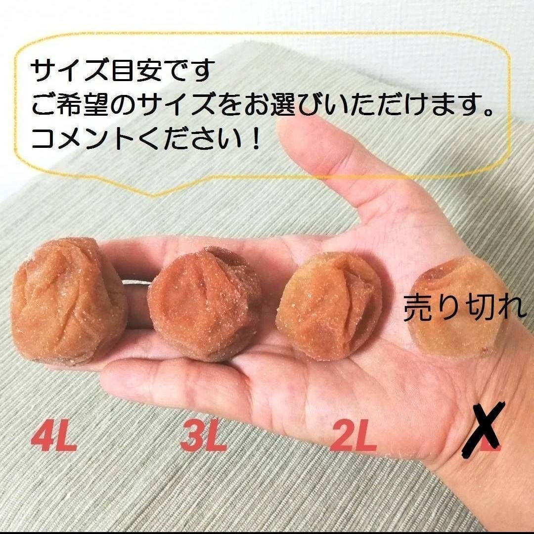塩と梅だけの紀州南高梅干し 白干し梅