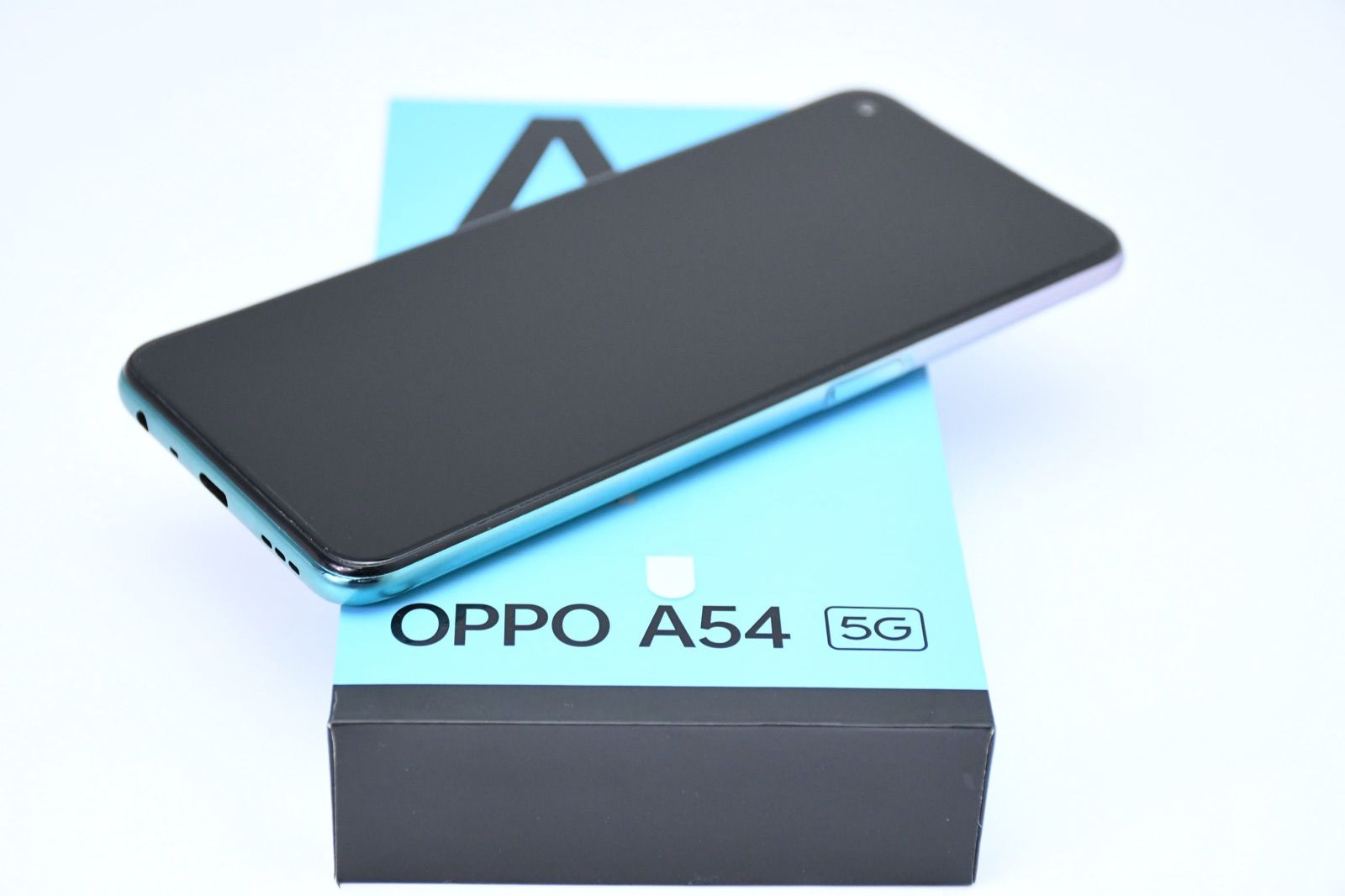 ディスカウント 掛軸 七樹層ソウ 松梅桜 菅楯彦