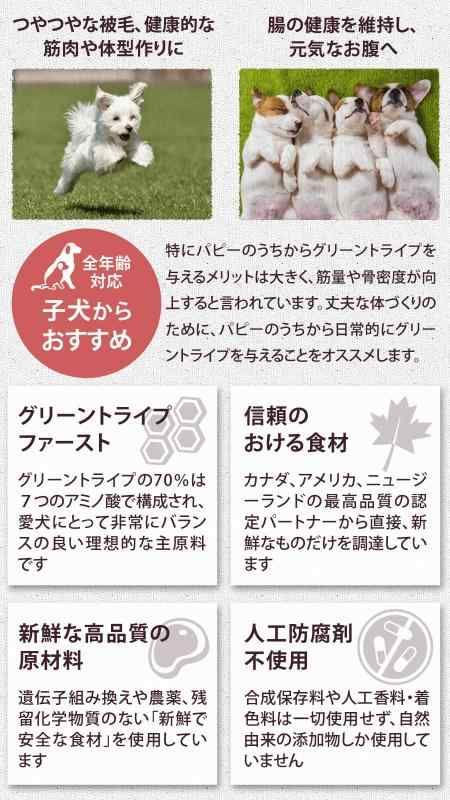 グリーンベニソントライプ