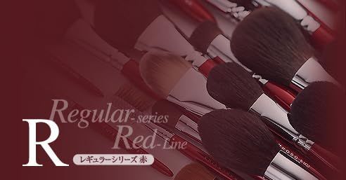 RR-P3C4S2L1 S-RR-1