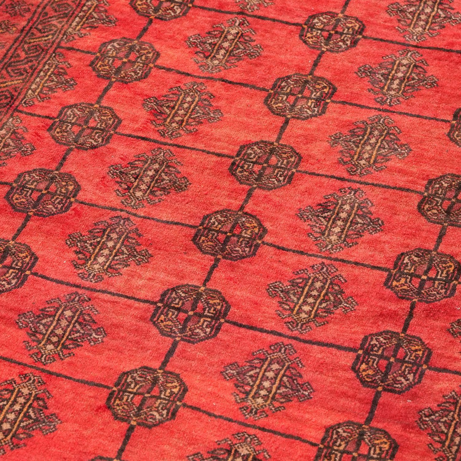 1960年代 2500×1430mm