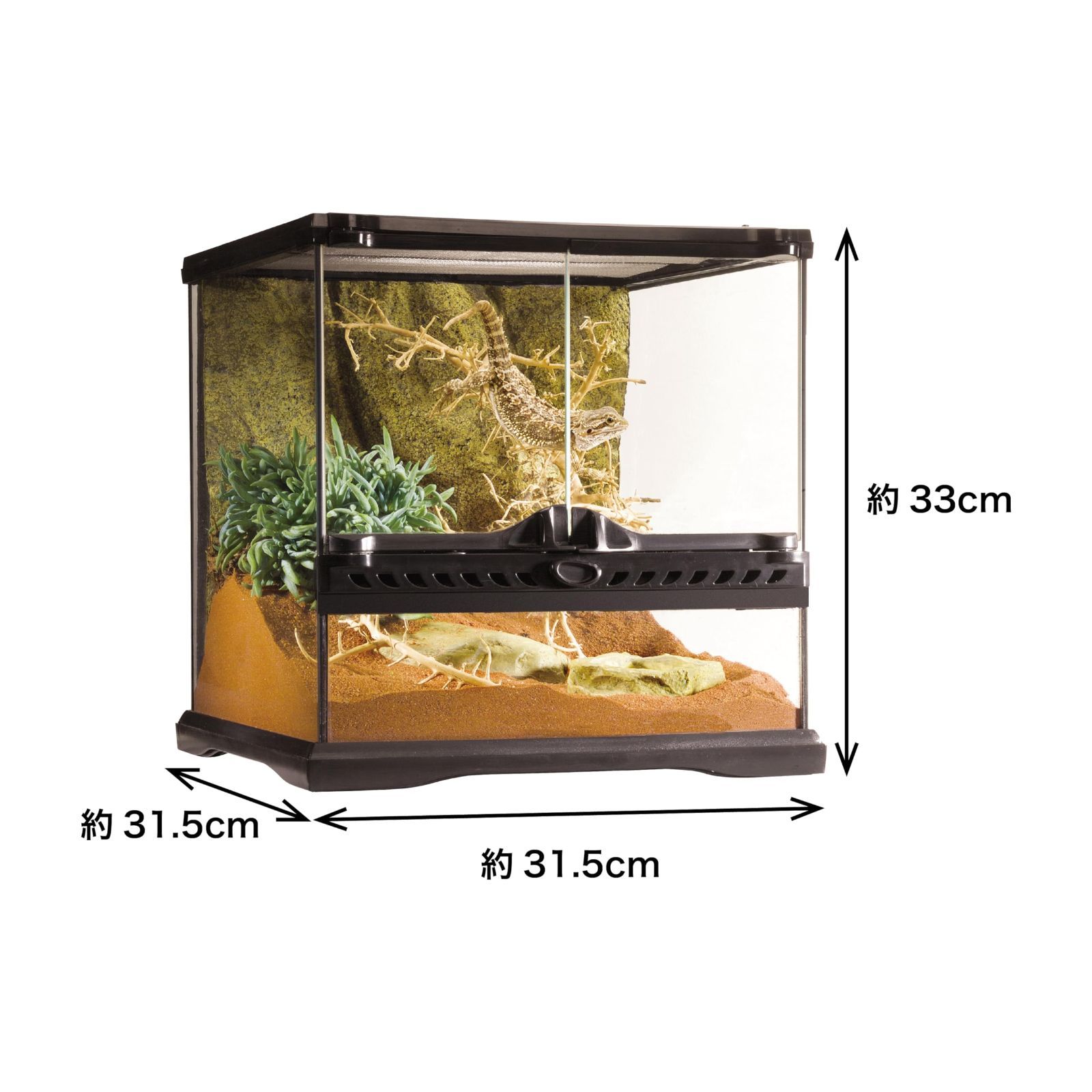 エキゾテラ GEX EXOTERRA グラステラリウム 3030 PT2600 両開きフロントドア 爬虫類飼育ケージ  W31.5×D31.5×H33cm - メルカリ