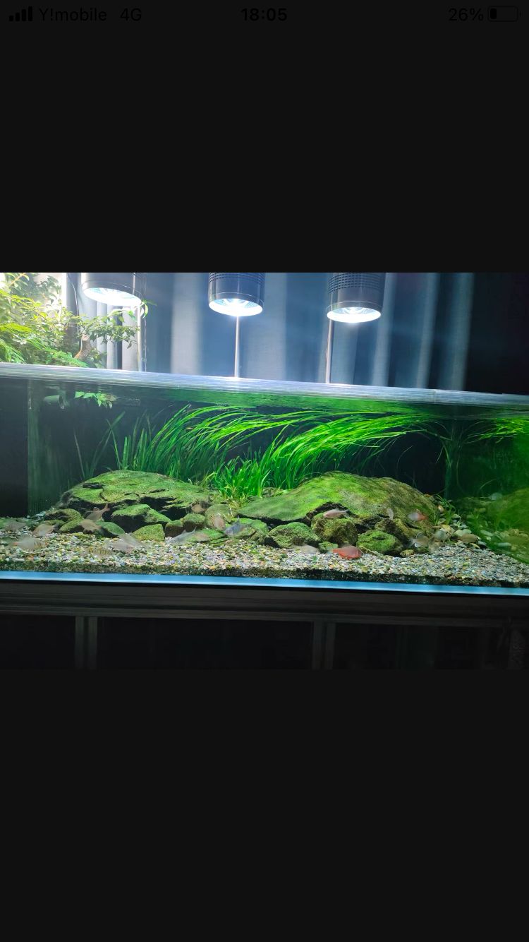 30Lろ材水質浄化抜群濾過フィルター自社製高品質セラミックリング送料込み 3Lろ材、水質浄化抜群、濾過フィルター自社製オリジナル高品質