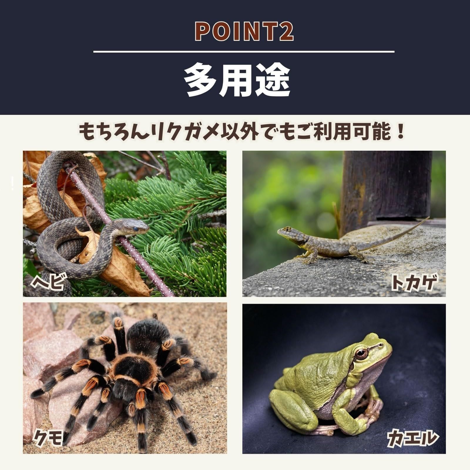 大型シェルター
