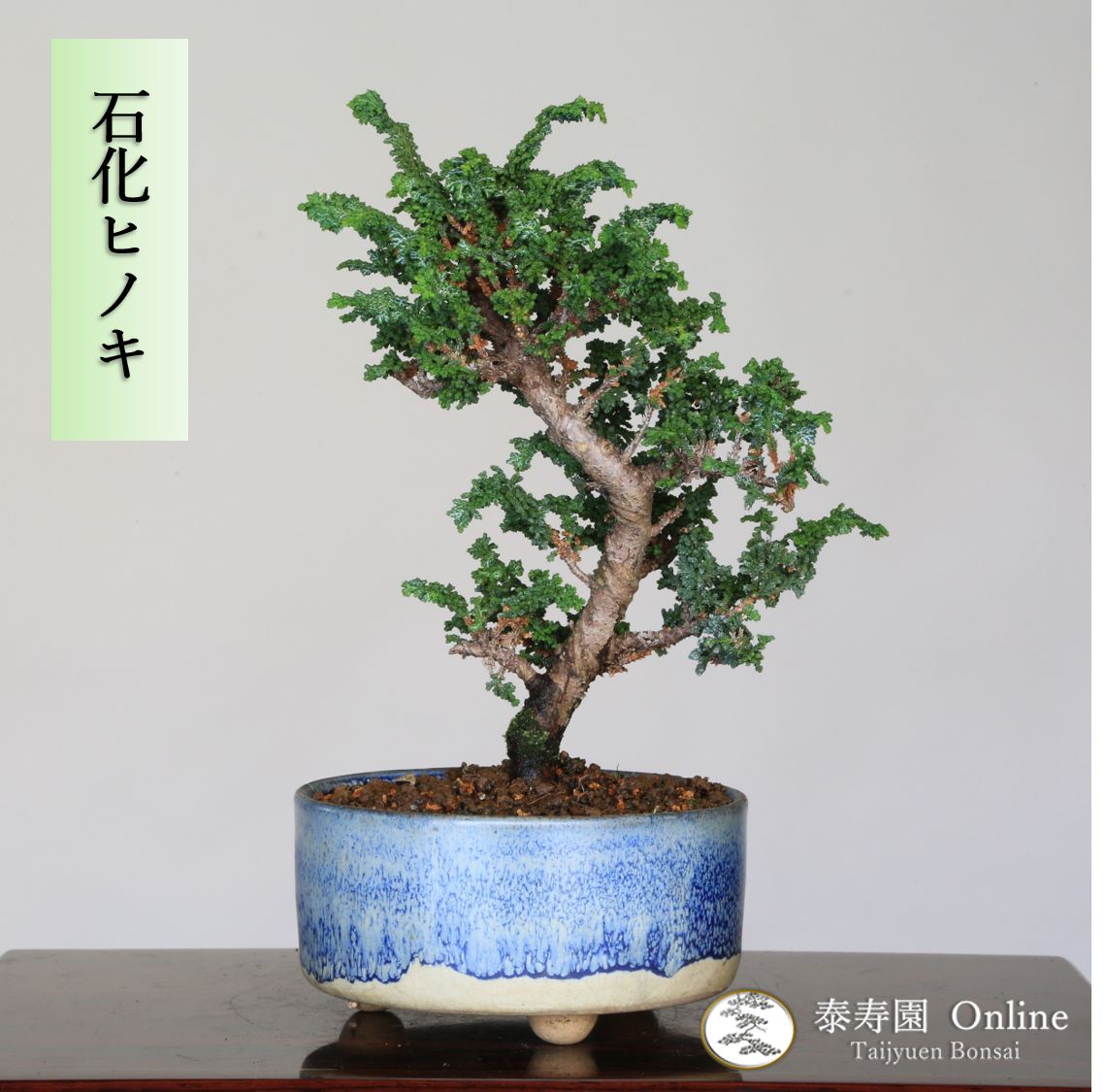 売約3930 外国切手 イギリス 1986年 自然保護 絶滅危惧種初日カバー4種