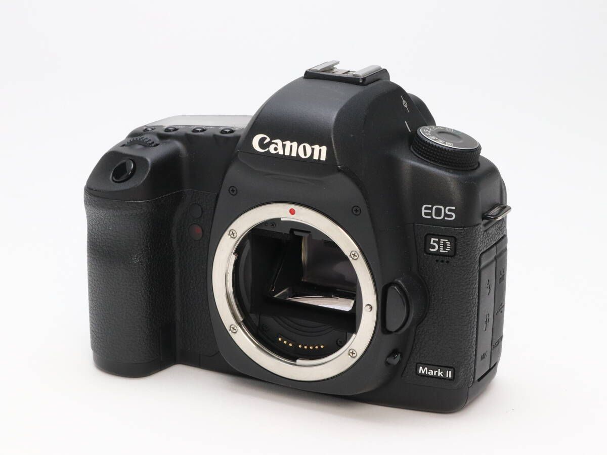 5D