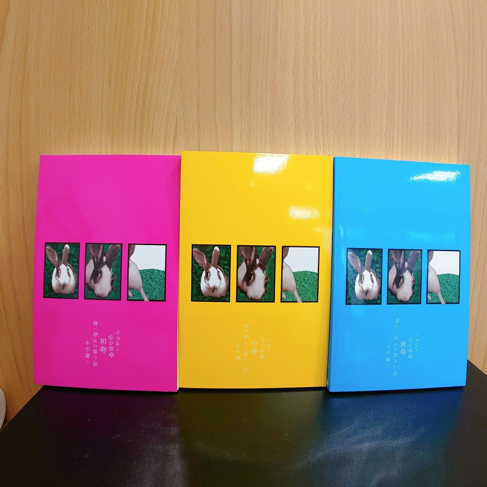 うさぎ 小沢健二 3冊（専用 小沢健二 うさぎ！3冊セット BOX）