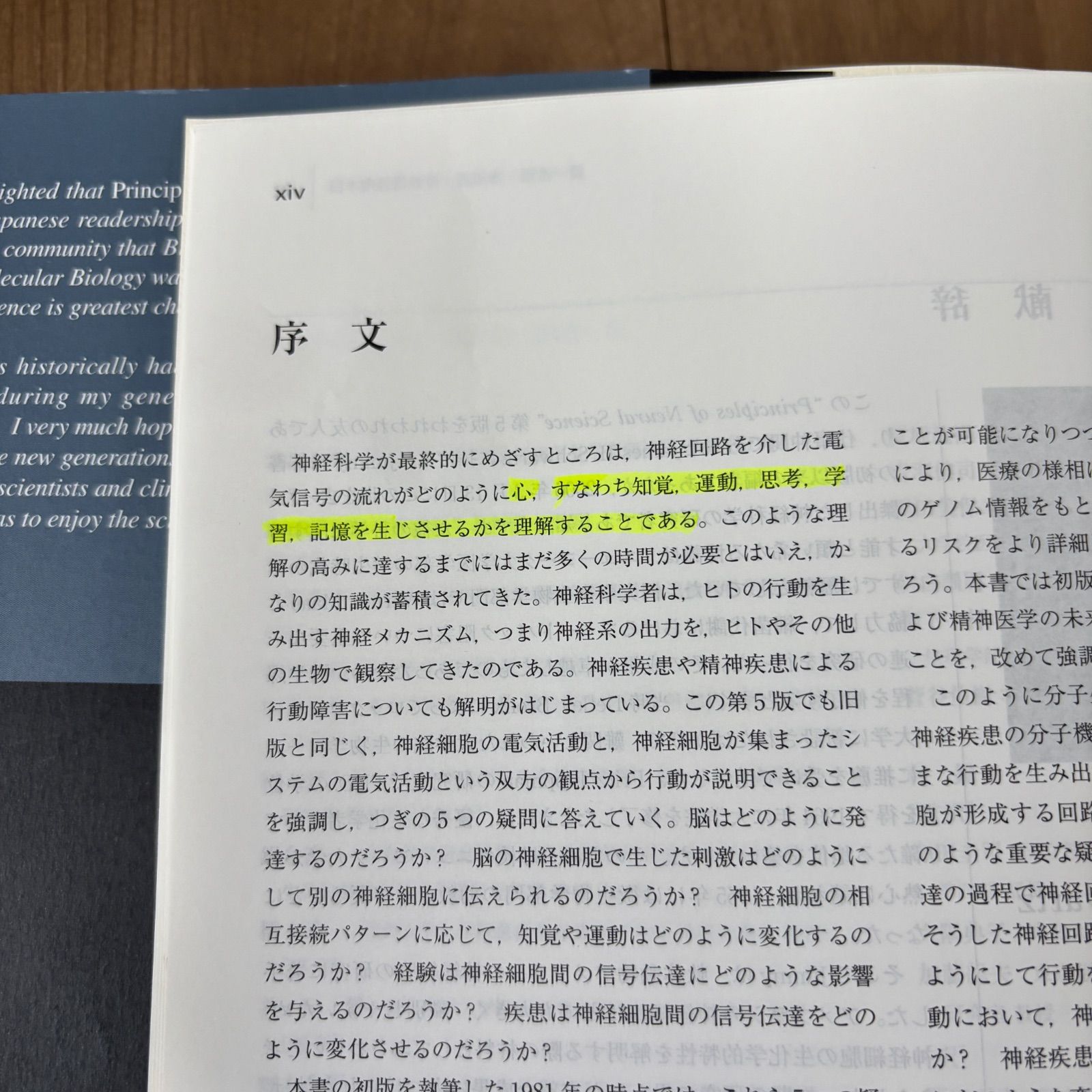 カンデル神経科学 第1版1刷 カンデル神経科学 PRINCIPLES OF NEURAL SCIENCE - ノースブック
