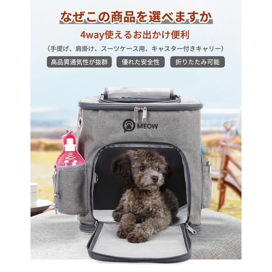 カート 犬
