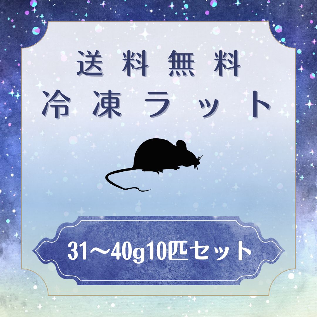 Venga様専用 冷凍ラット 【公式通販】