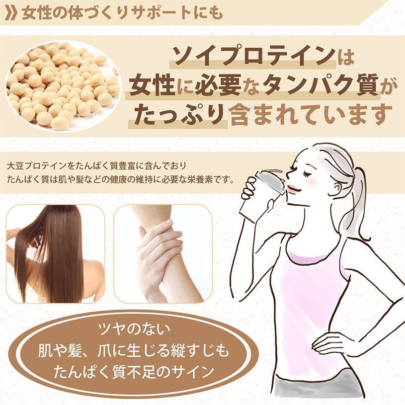 【NICHIGA／ニチガ公式】大豆プロテイン (国内製造) 500g ソイプロテイン100％ 新規製法採用 甘味料無添加 [01]